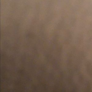 Meet your Posher, Tess